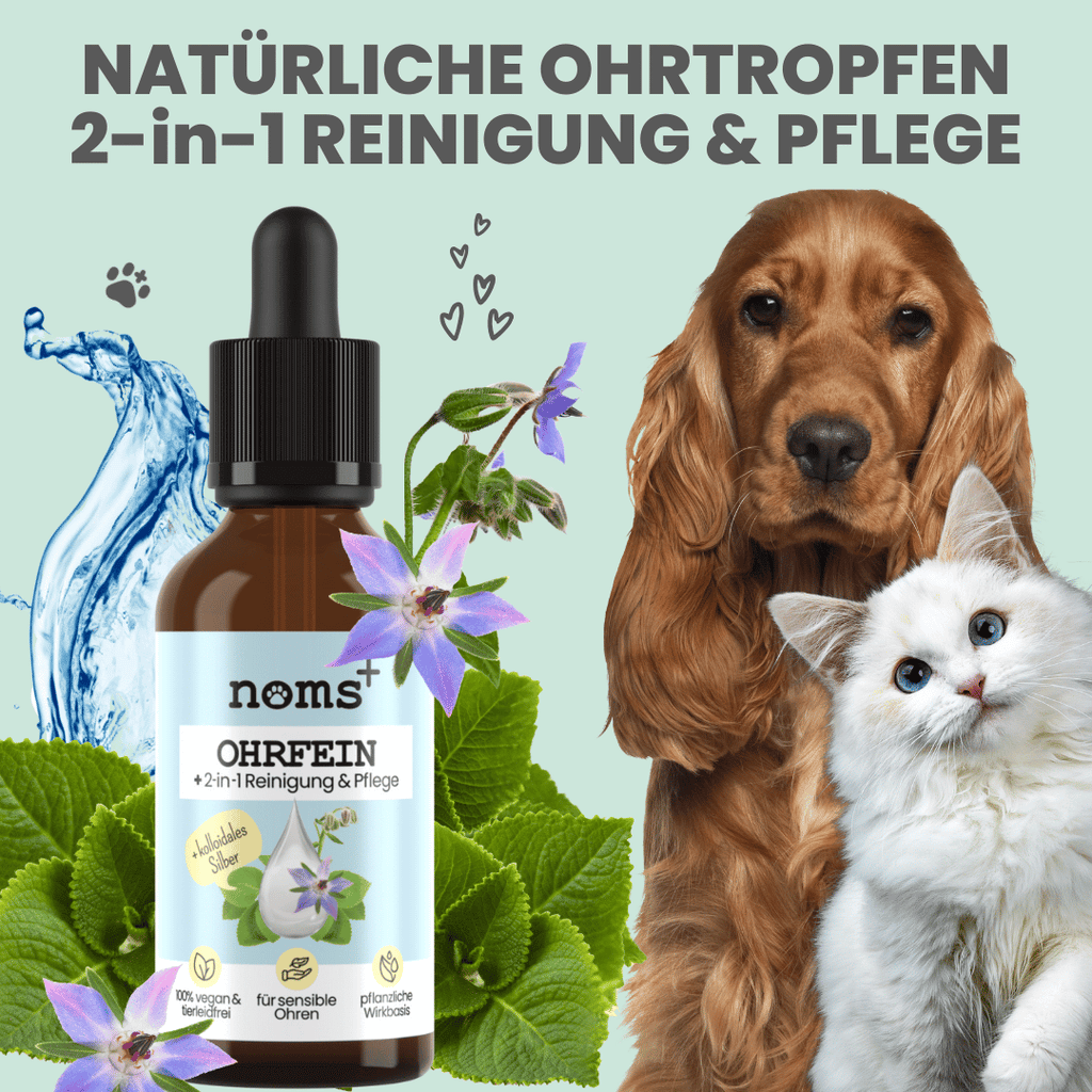 noms+ – 2-in-1 Ohrfein Reinigung & Pflege für Hunde & Katzen