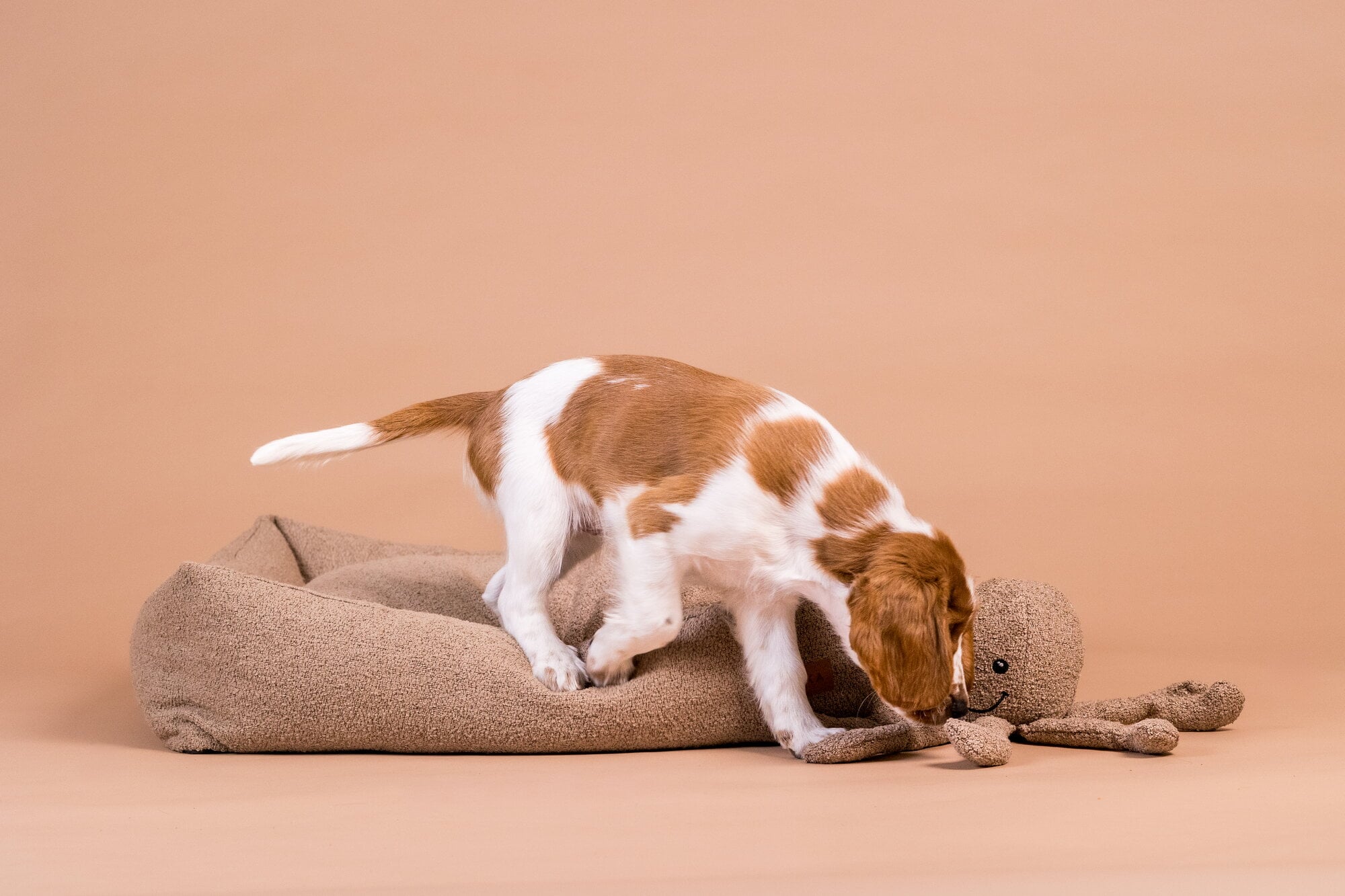 PAIKKA – Bouclé Bed for Dogs
