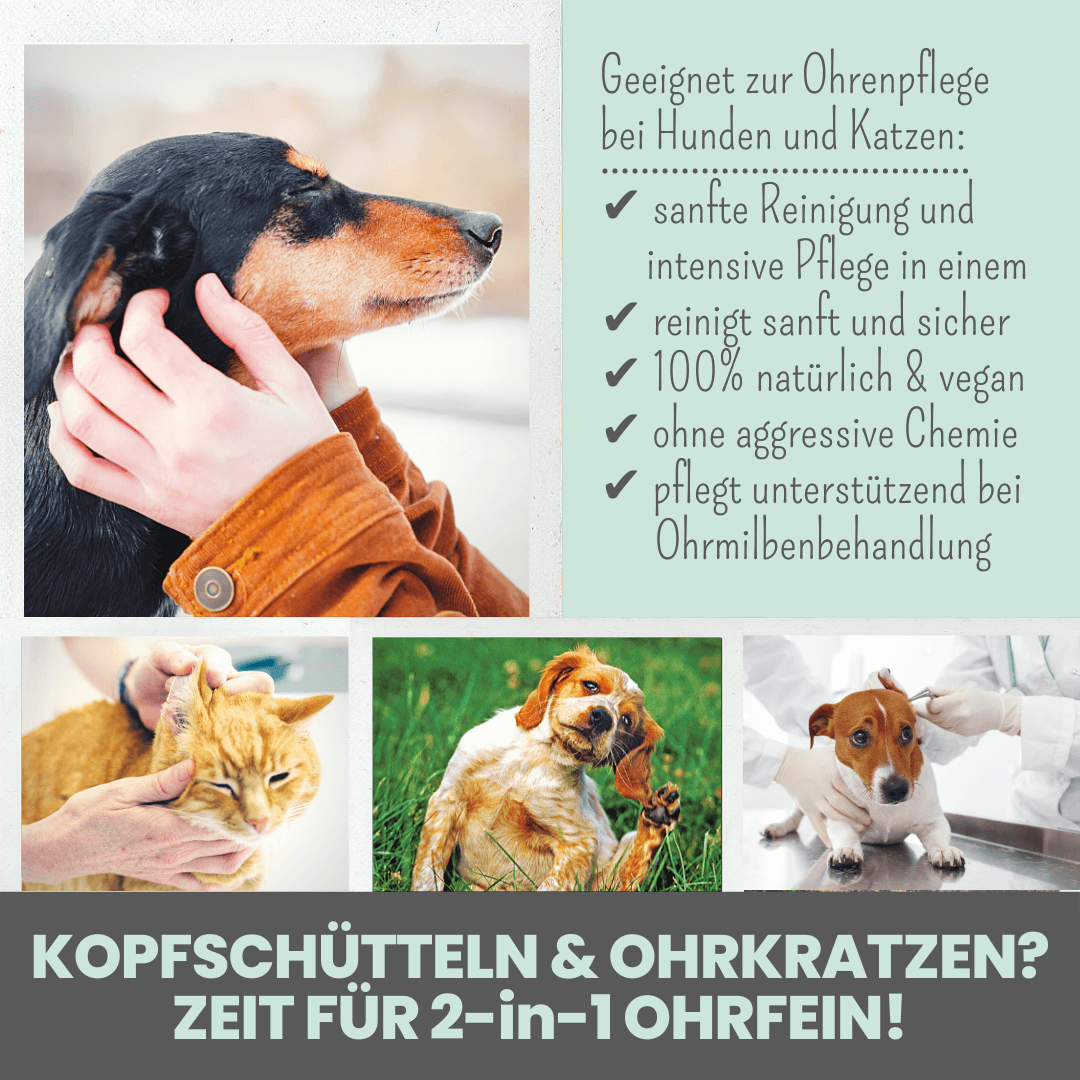 noms+ – 2-in-1 Ohrfein Reinigung & Pflege für Hunde & Katzen