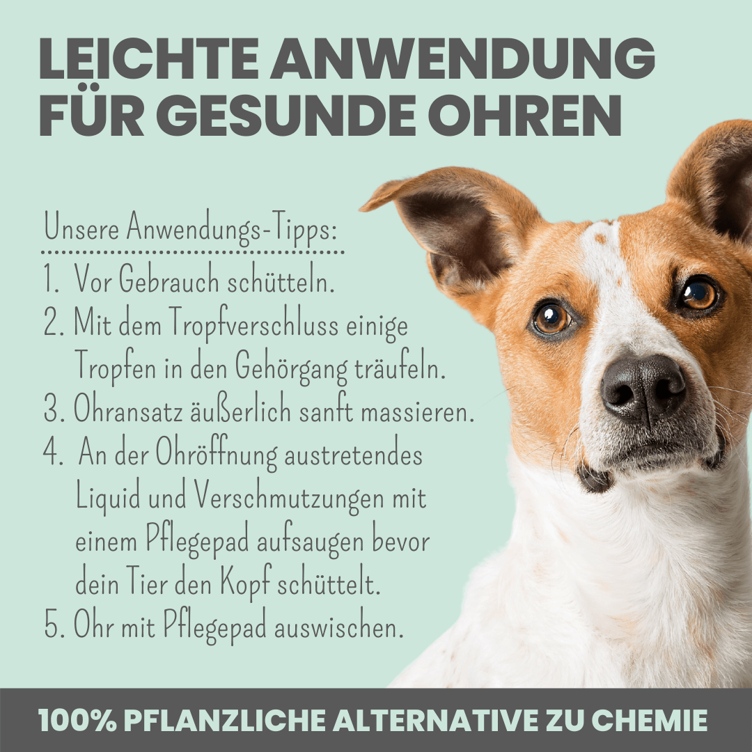 noms+ – 2-in-1 Ohrfein Reinigung & Pflege für Hunde & Katzen
