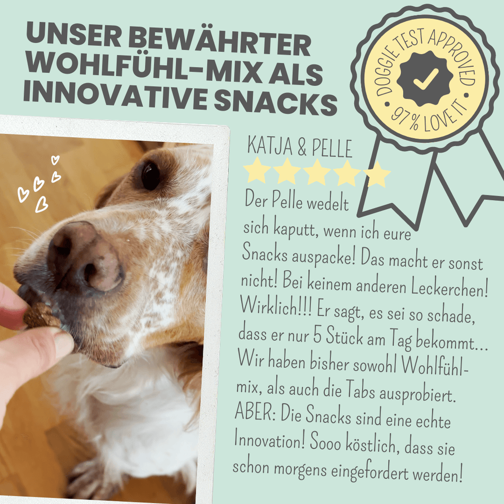 noms+ – Wohlfühlsnacks für Hunde