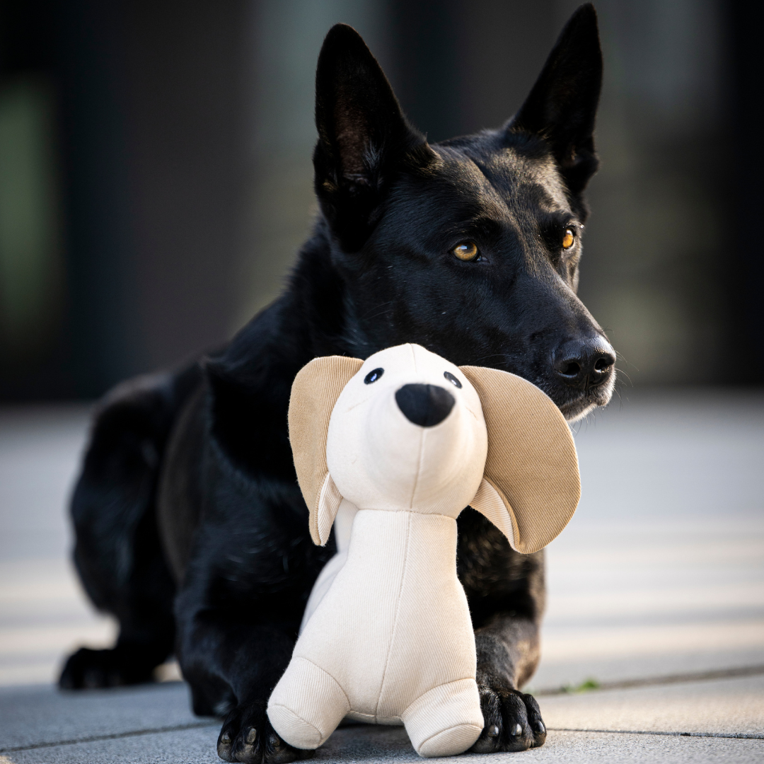 Woofstuff – Hundespielzeug Dackel Pepe
