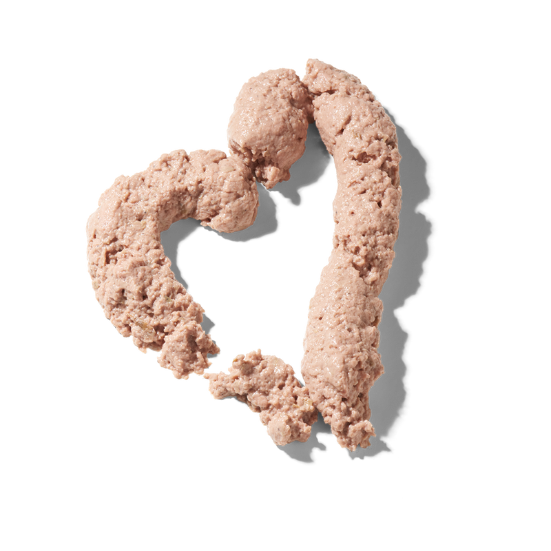 FRED – Creamies Lachs