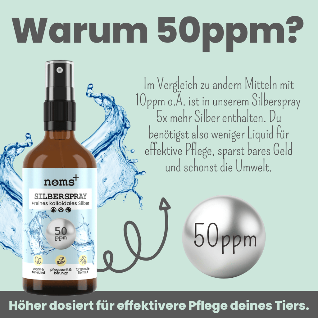 noms+ – Silberspray für Hunde & Katzen