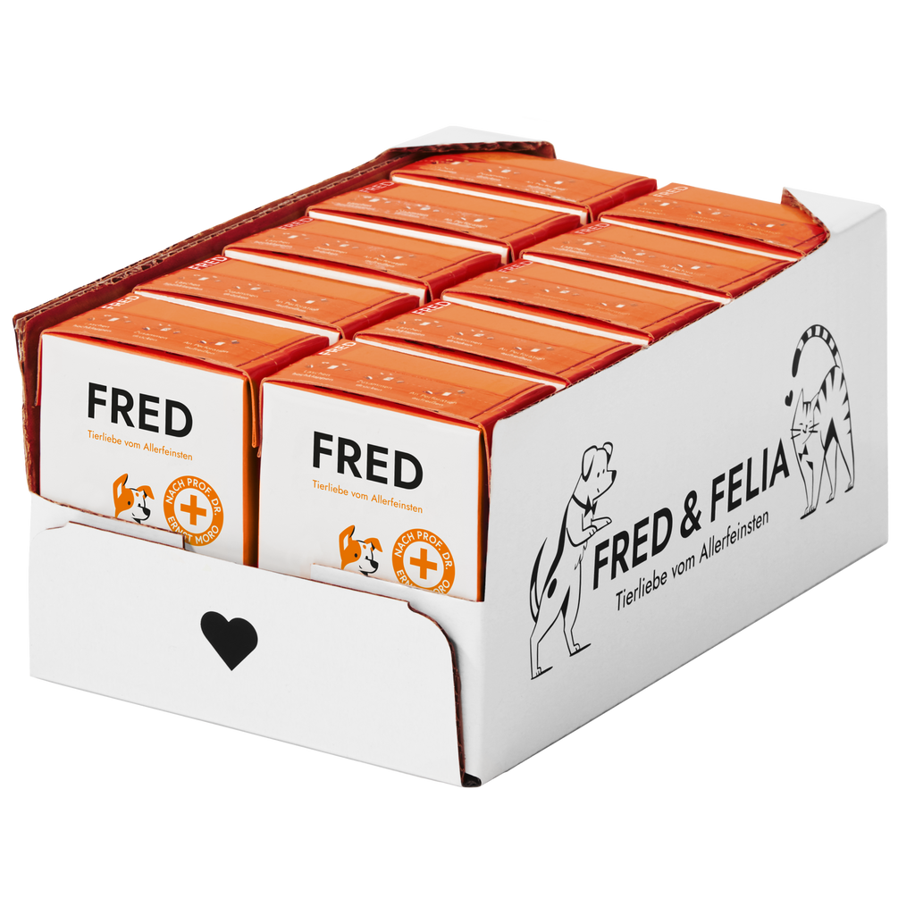 FRED – Morosche Karottensuppe