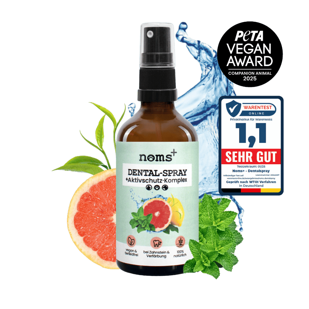 noms+ – Dental-Spray bei Zahnstein für Hunde & Katzen
