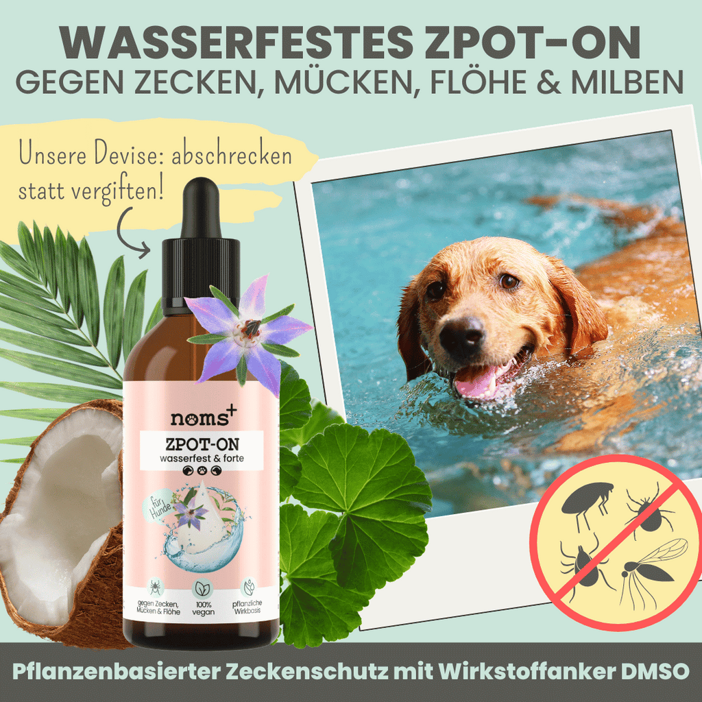 noms+ – Wasserfestes Zpot-on für Hunde gegen Zecken, Flöhe, Milben & Mücken