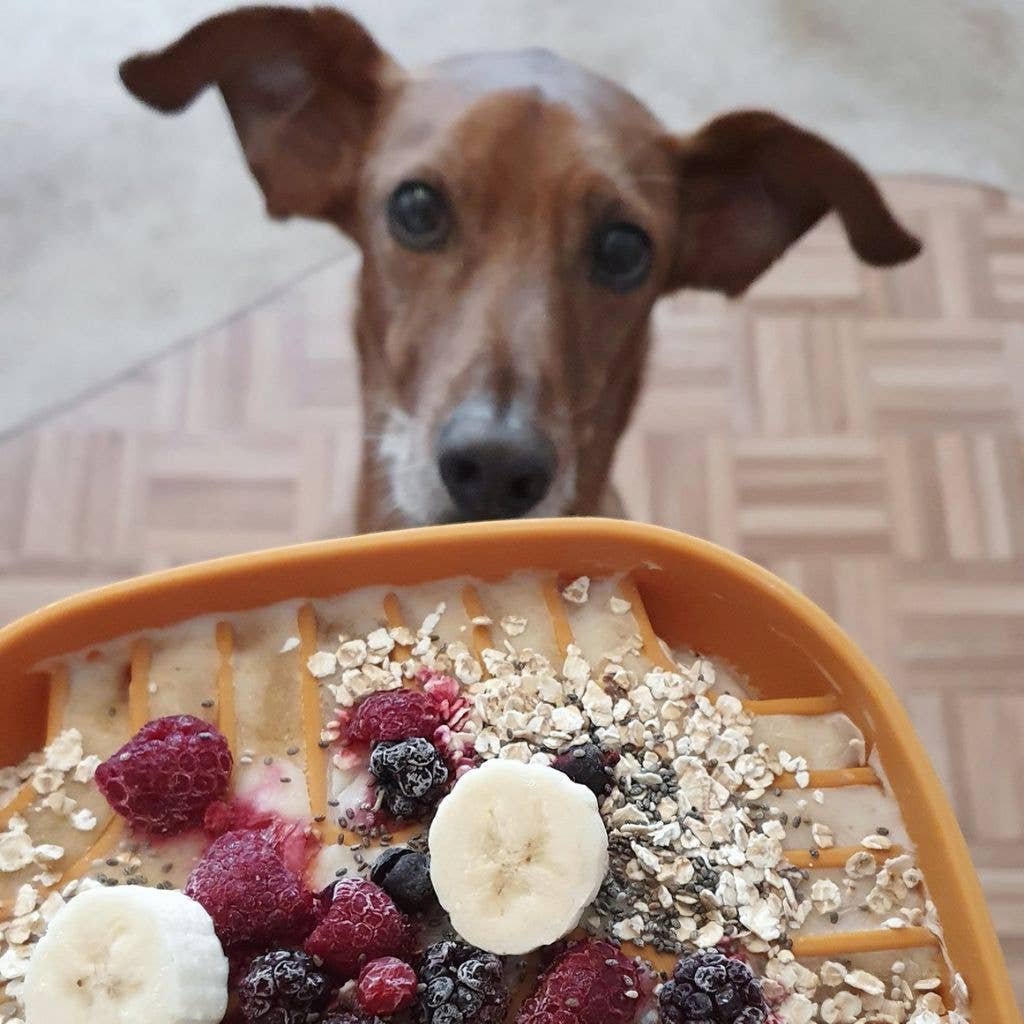 Woofstuff – Beschäftigungsspielzeug Slow Feeder TASTY Amber