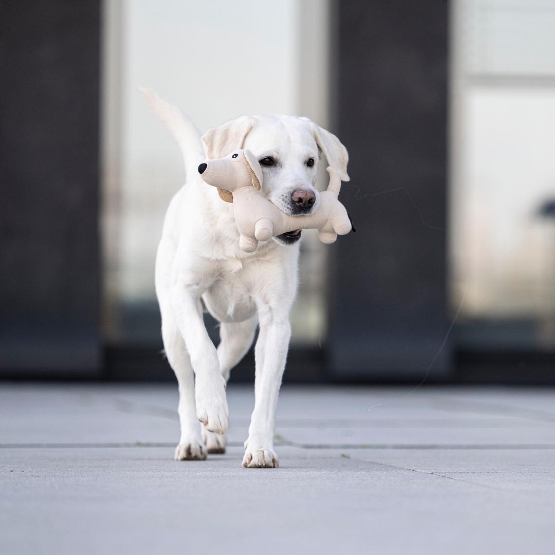 Woofstuff – Hundespielzeug Dackel Pepe
