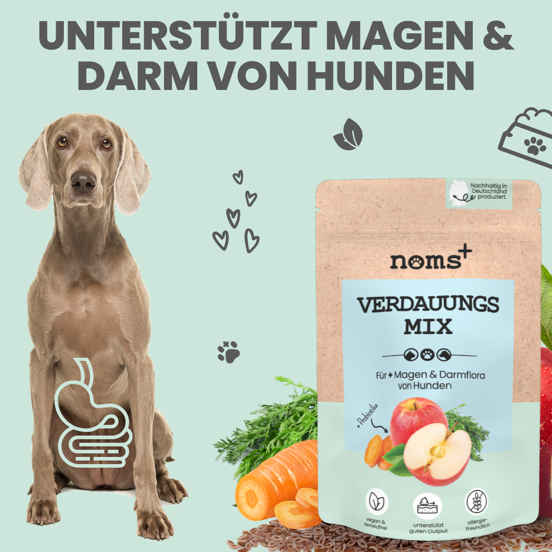 noms+ – Verdauungsmix für Hunde als Probiotikum für Magen- & Darmflora