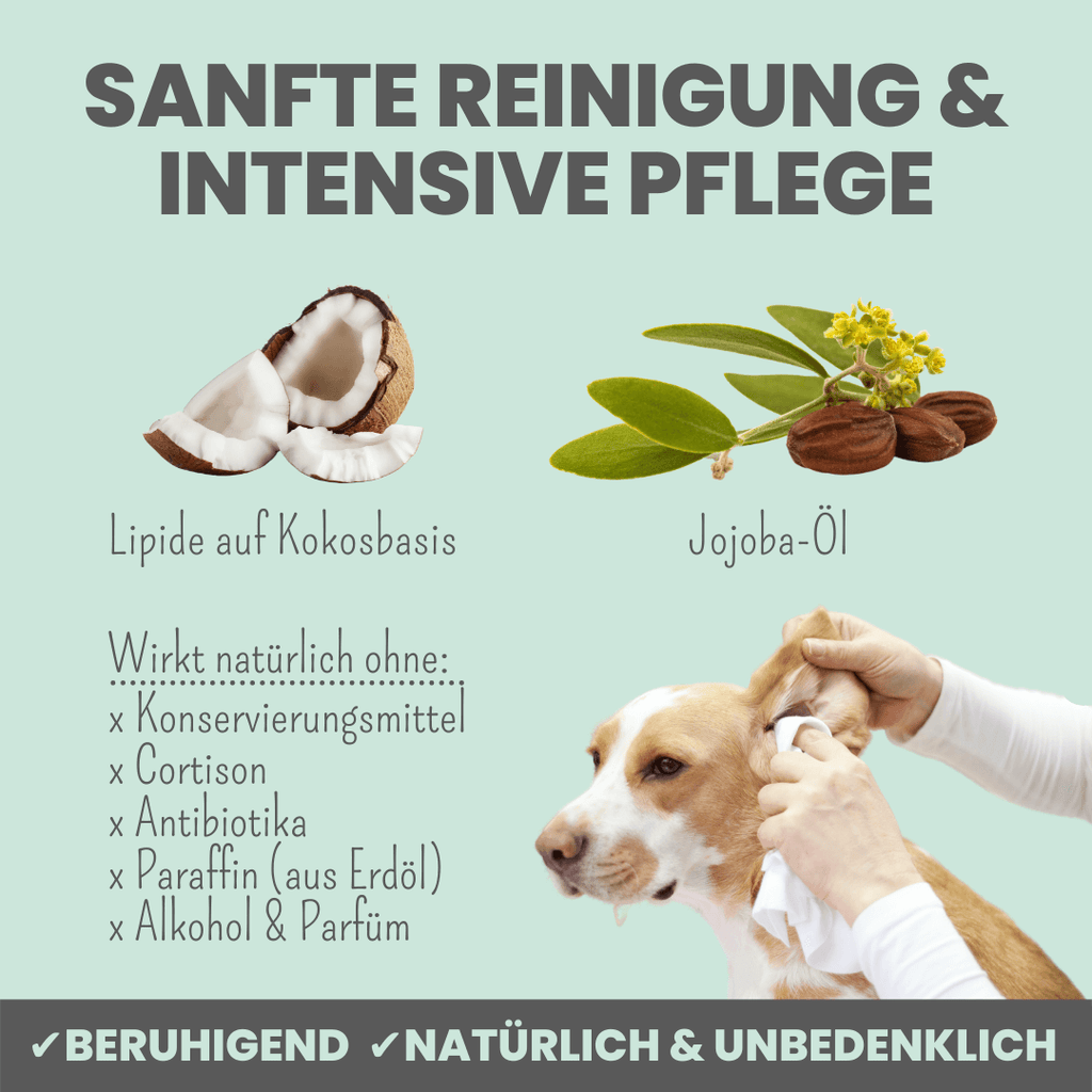 noms+ – 2-in-1 Ohrfein Reinigung & Pflege für Hunde & Katzen