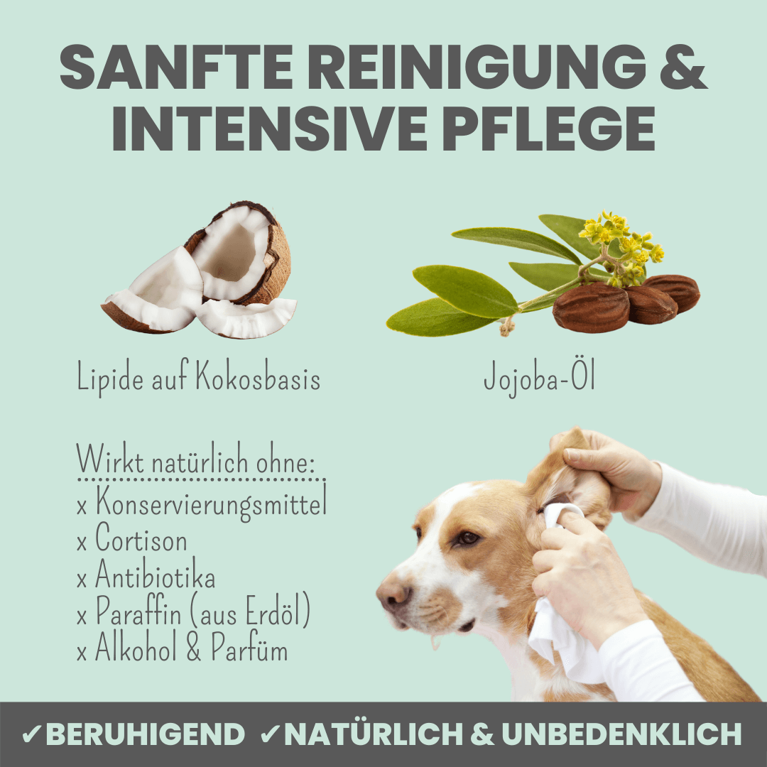 noms+ – 2-in-1 Ohrfein Reinigung & Pflege für Hunde & Katzen