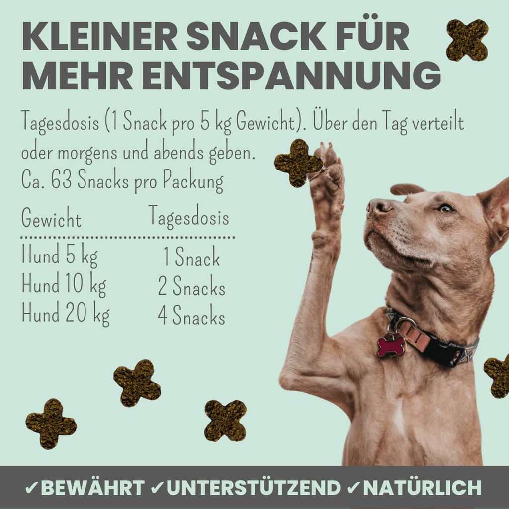 noms+ – Wohlfühlsnacks für Hunde