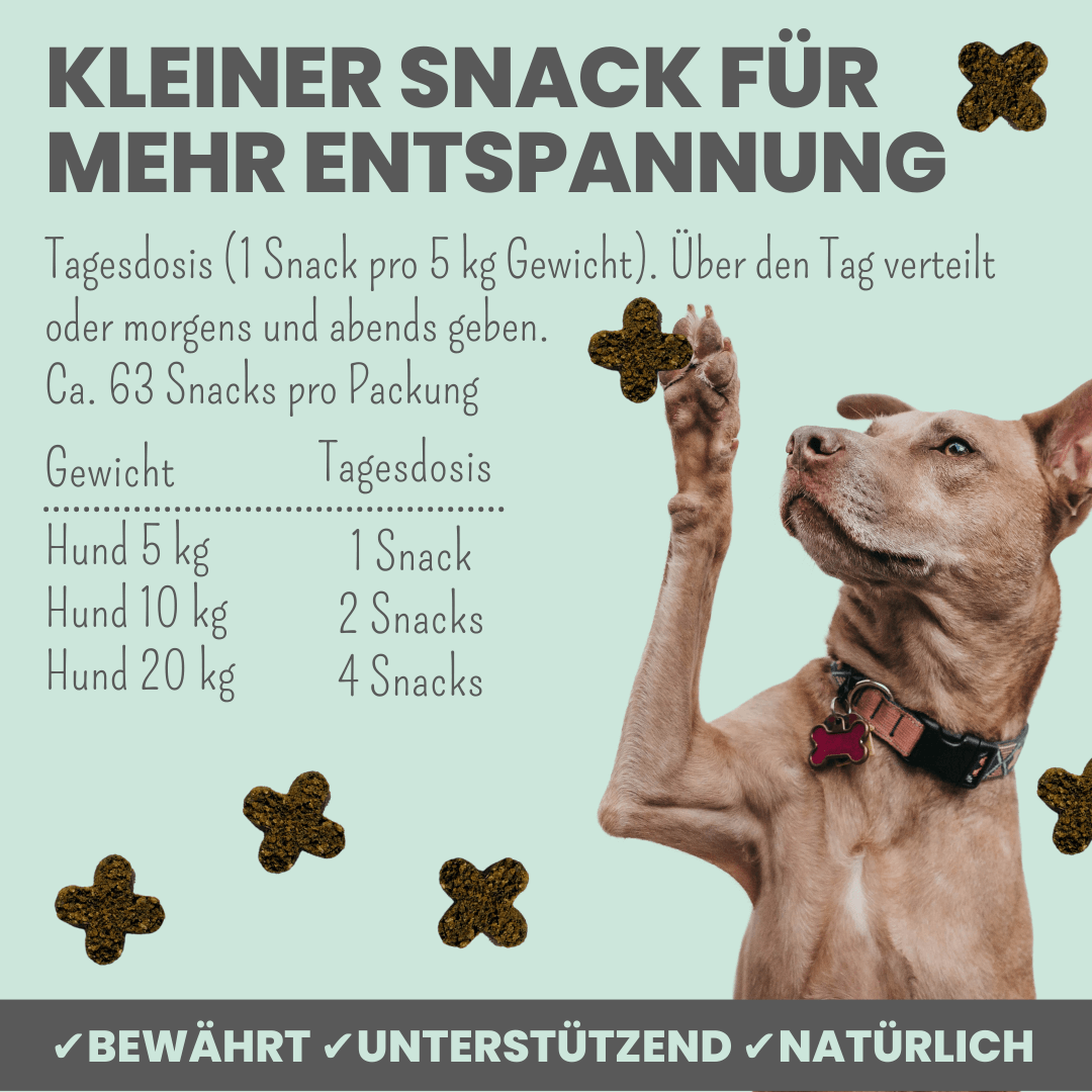 noms+ – Wohlfühlsnacks für Hunde