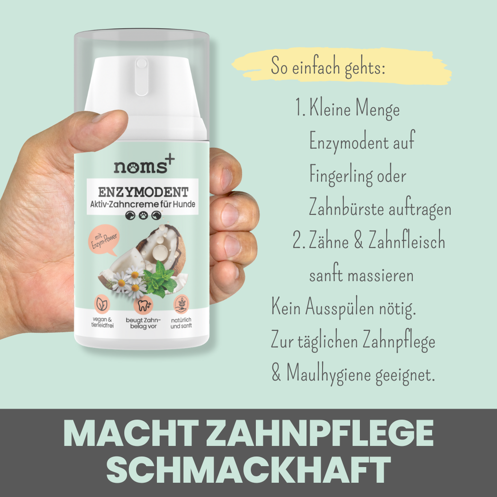 noms+ – Enzymodent: Enzymatische Zahnpasta für Hunde