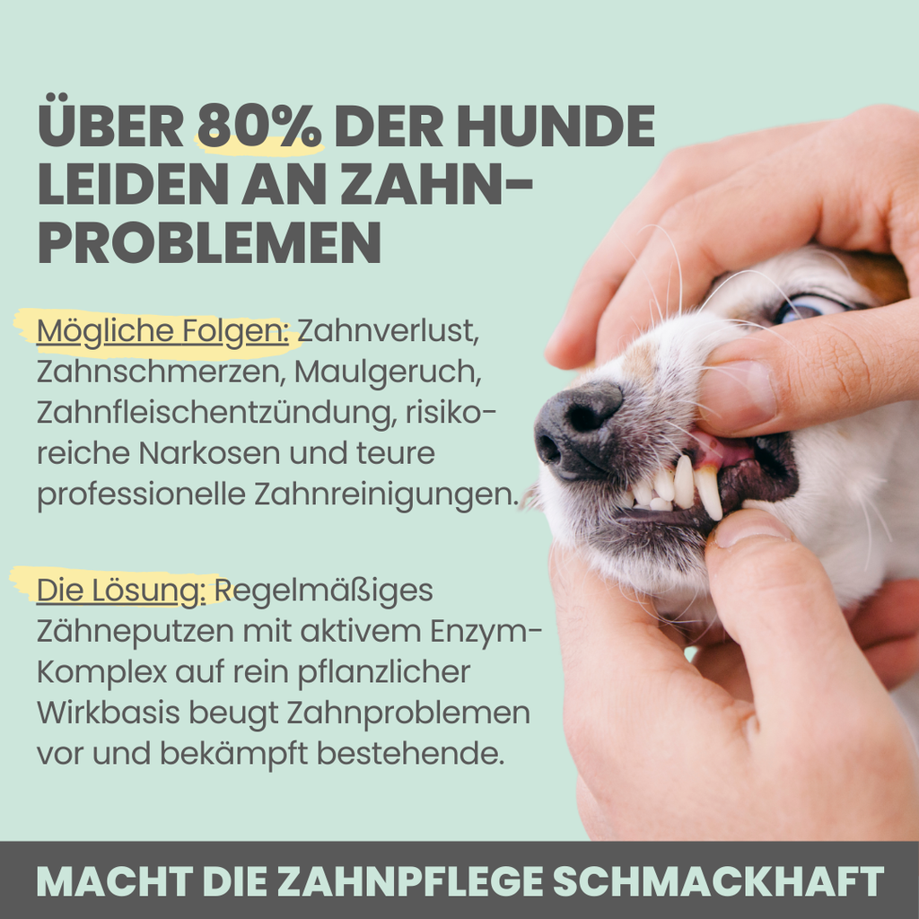 noms+ – Enzymodent: Enzymatische Zahnpasta für Hunde