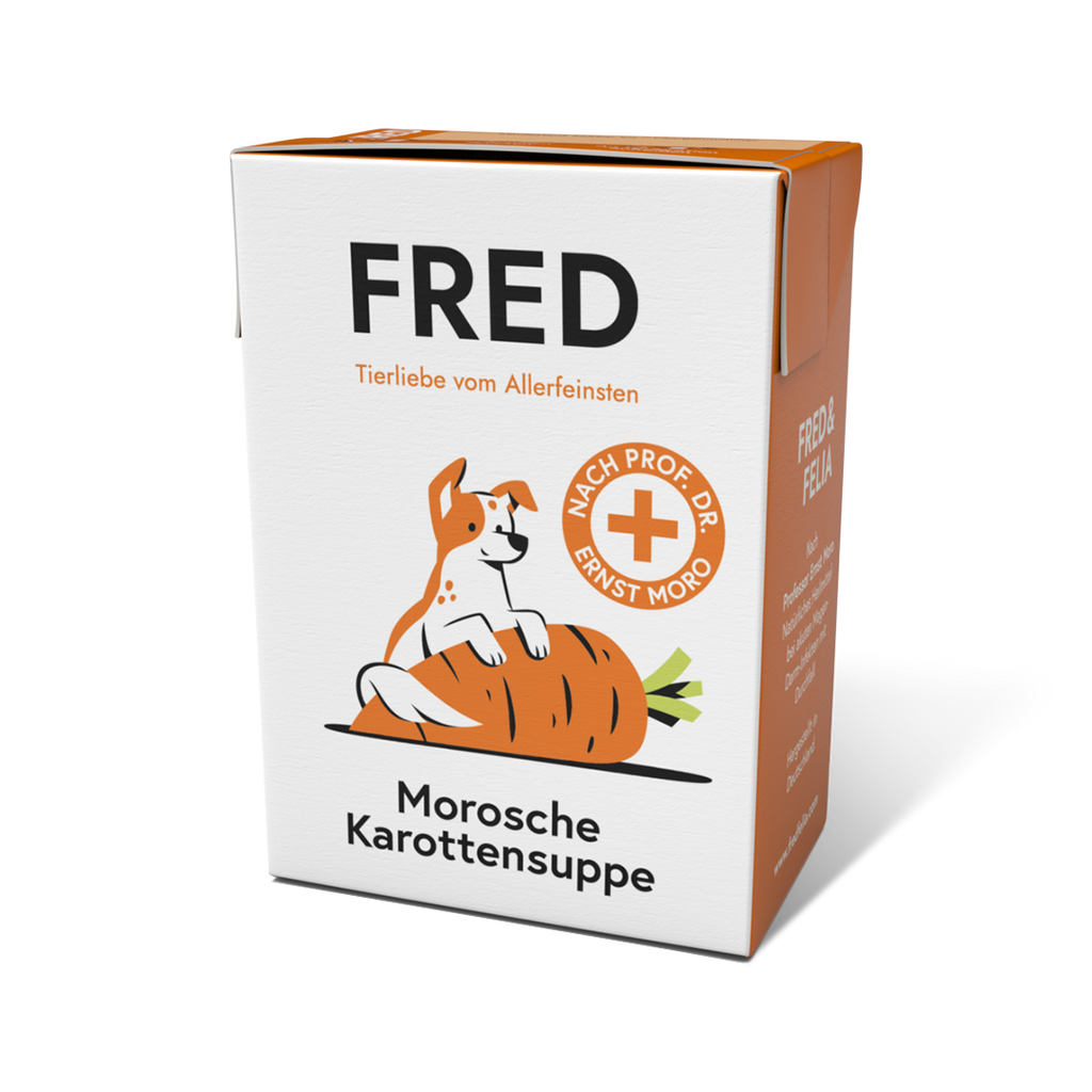 FRED – Morosche Karottensuppe
