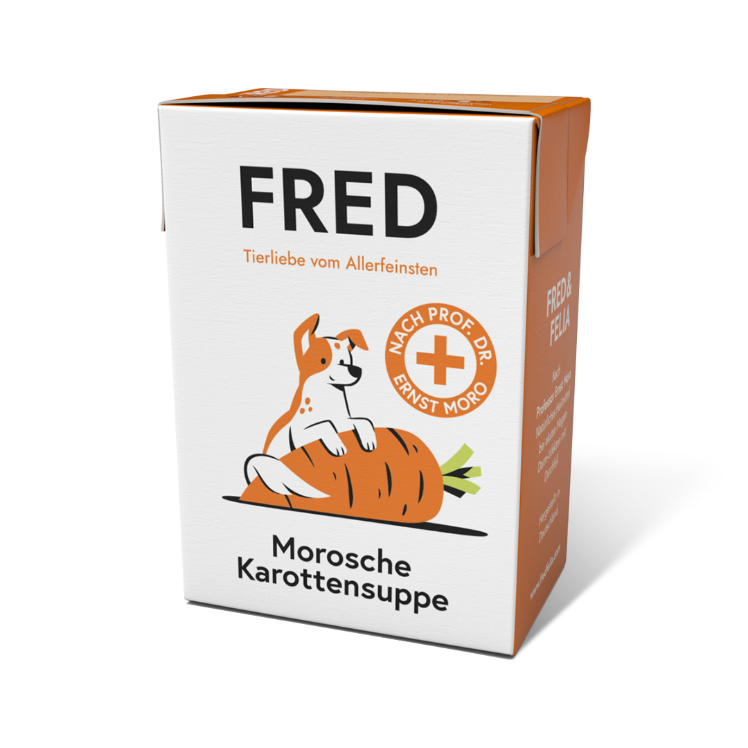 FRED – Morosche Karottensuppe
