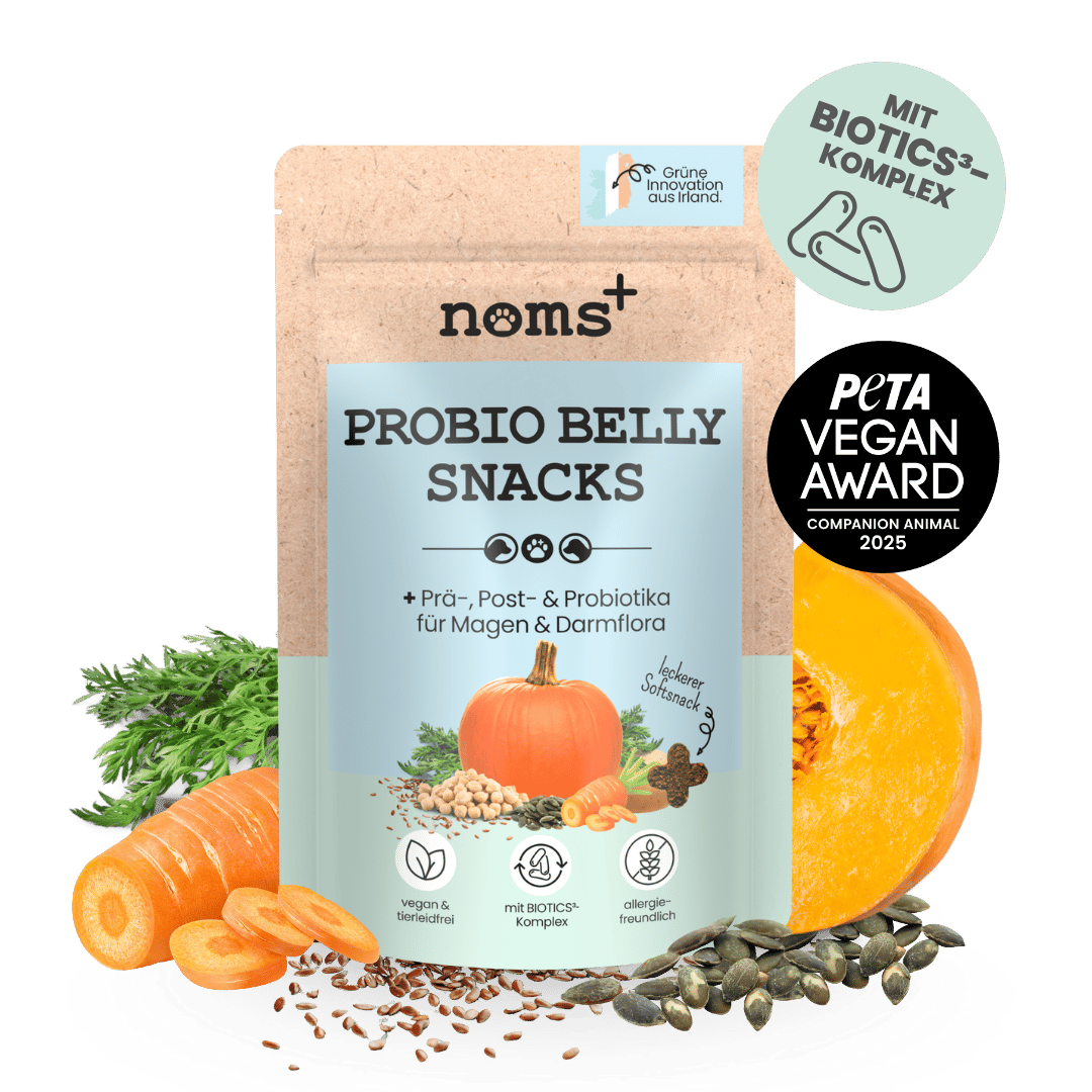 noms+ – Probio Belly Snacks für Hunde