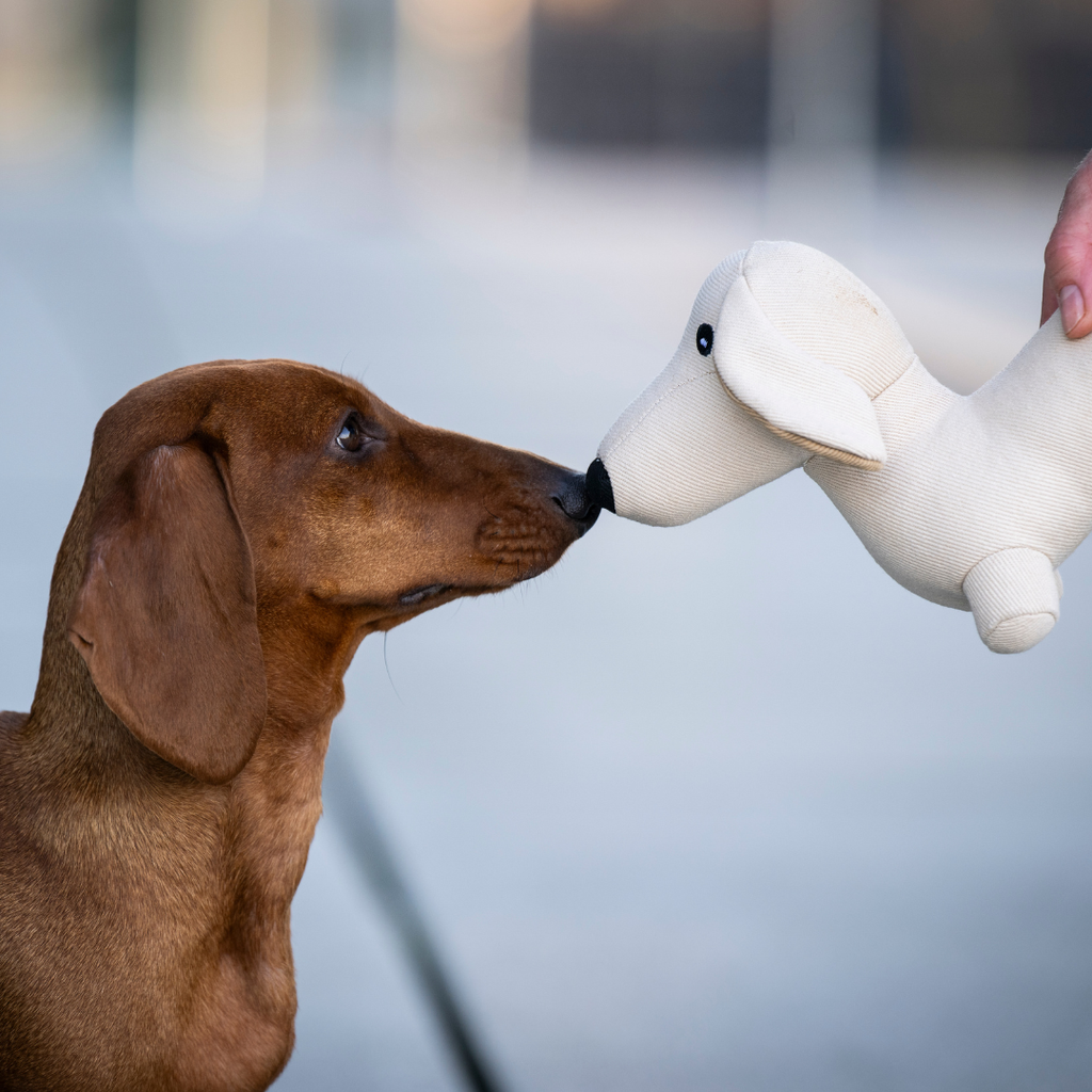 Woofstuff – Hundespielzeug Dackel Pepe
