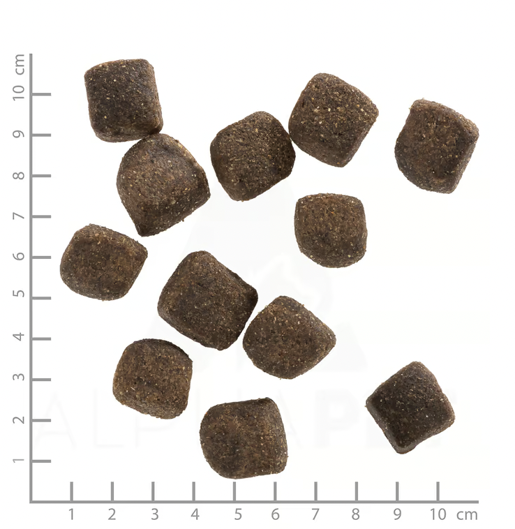 Wolfsblut – Squashies Wide Plain 100g