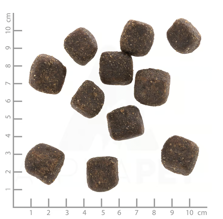 Wolfsblut – Squashies Wild Duck 100g
