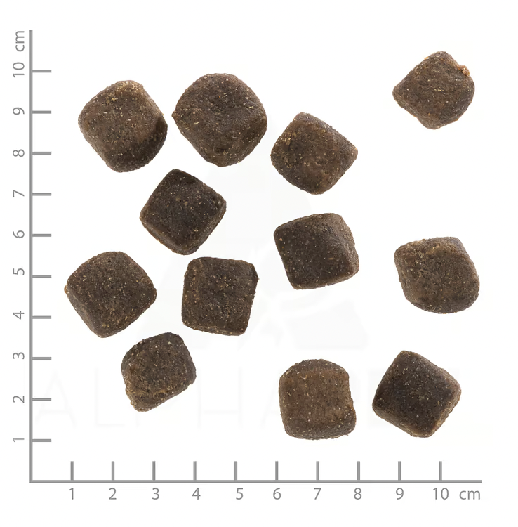 Wolfsblut – Squashies Dark Forest 100g