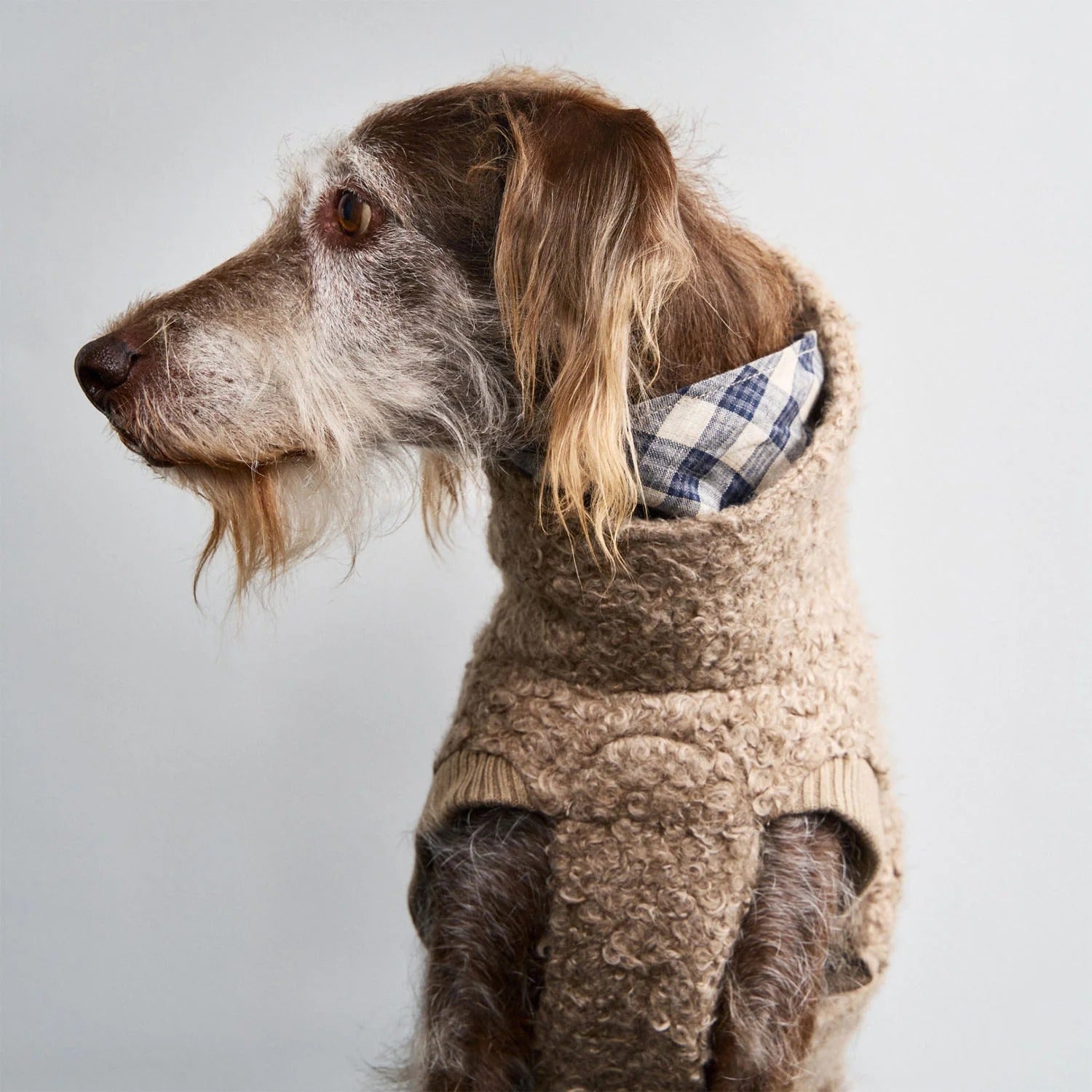 CLOUD7 - Hundepullover Gotland