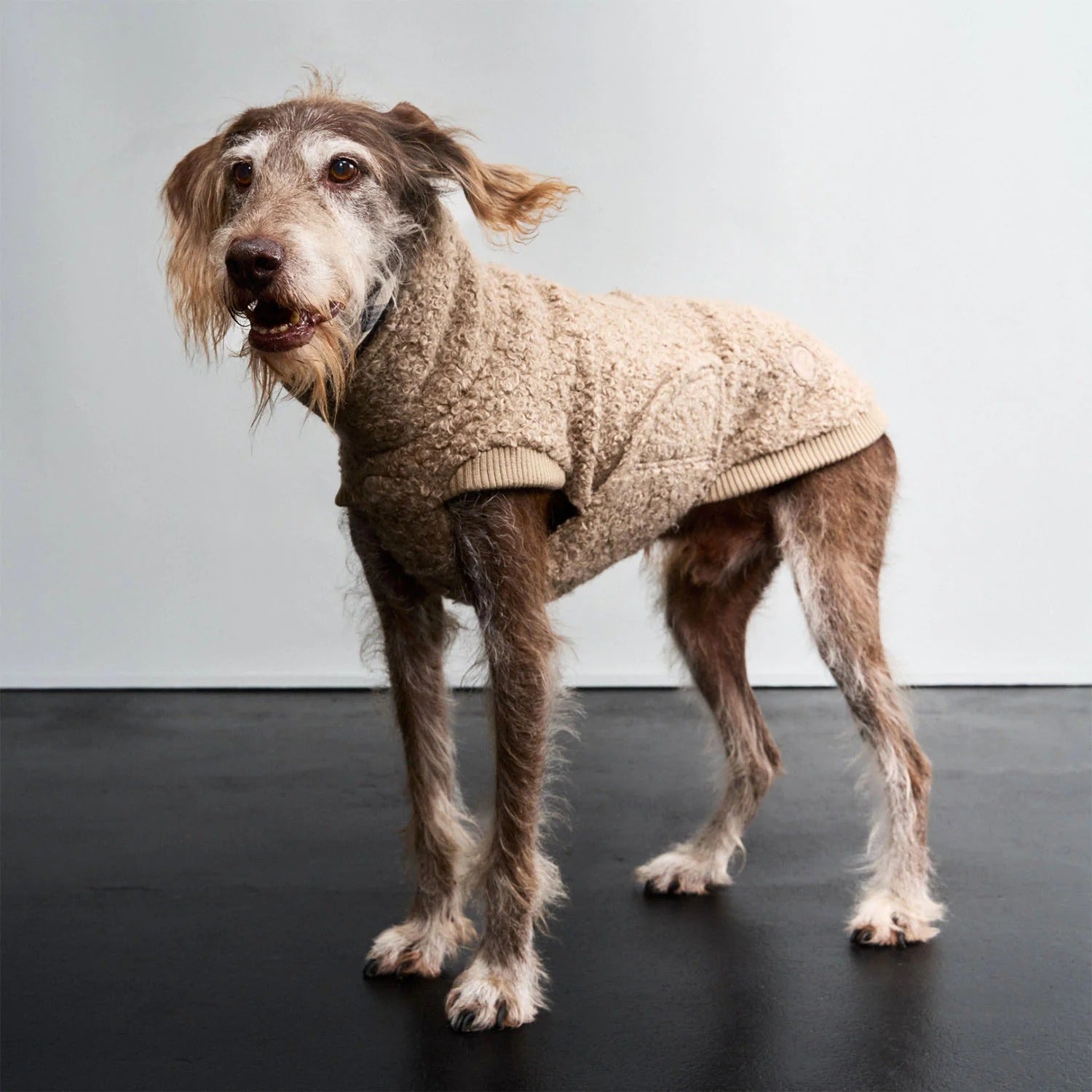CLOUD7 - Hundepullover Gotland