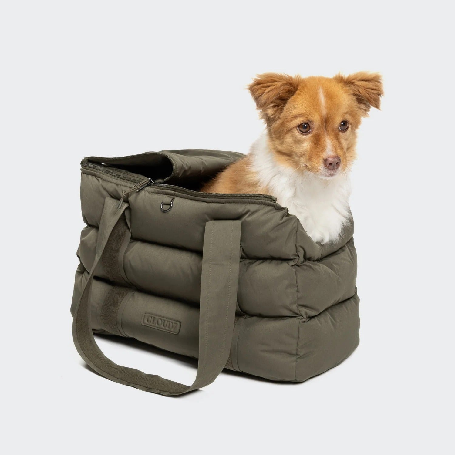 CLOUD7 - Hundetasche Montreal