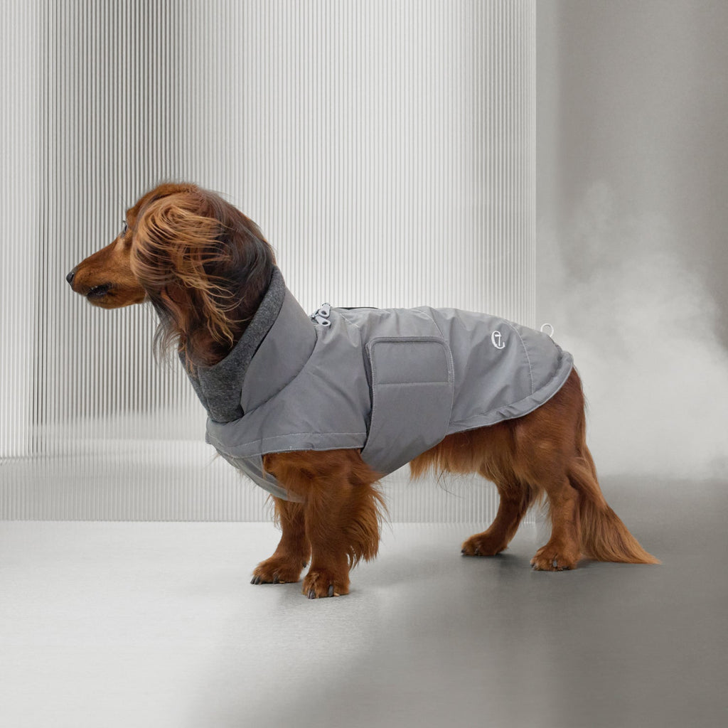 CLOUD7 - Hundemantel Dackel Brooklyn Reflective