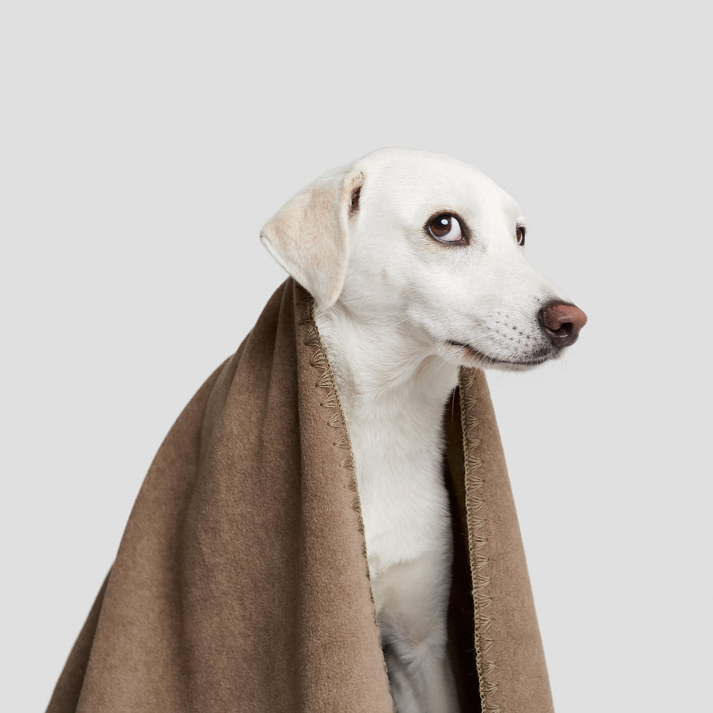 CLOUD7 - Hundedecke Soft Fleece