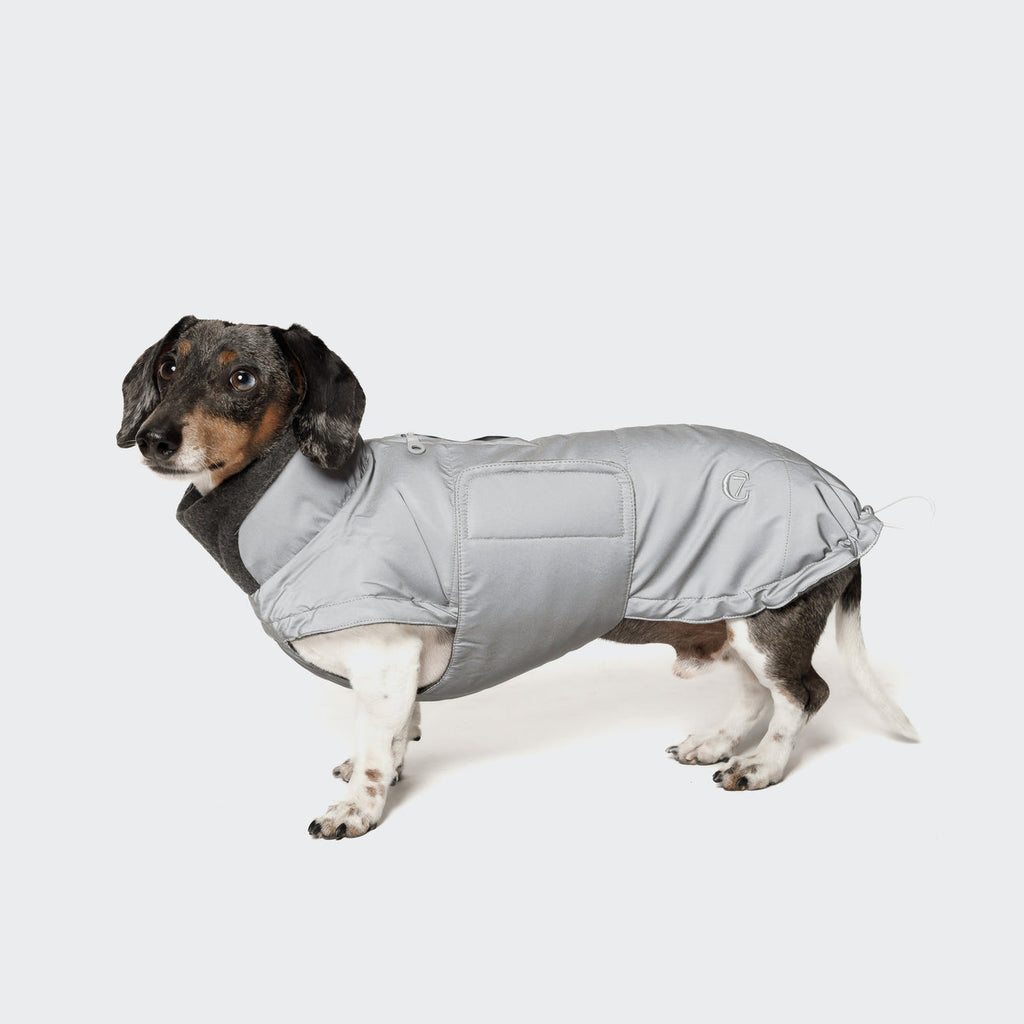 CLOUD7 - Hundemantel Dackel Brooklyn Reflective