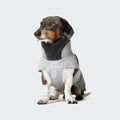 CLOUD7 - Hundemantel Dackel Brooklyn Reflective