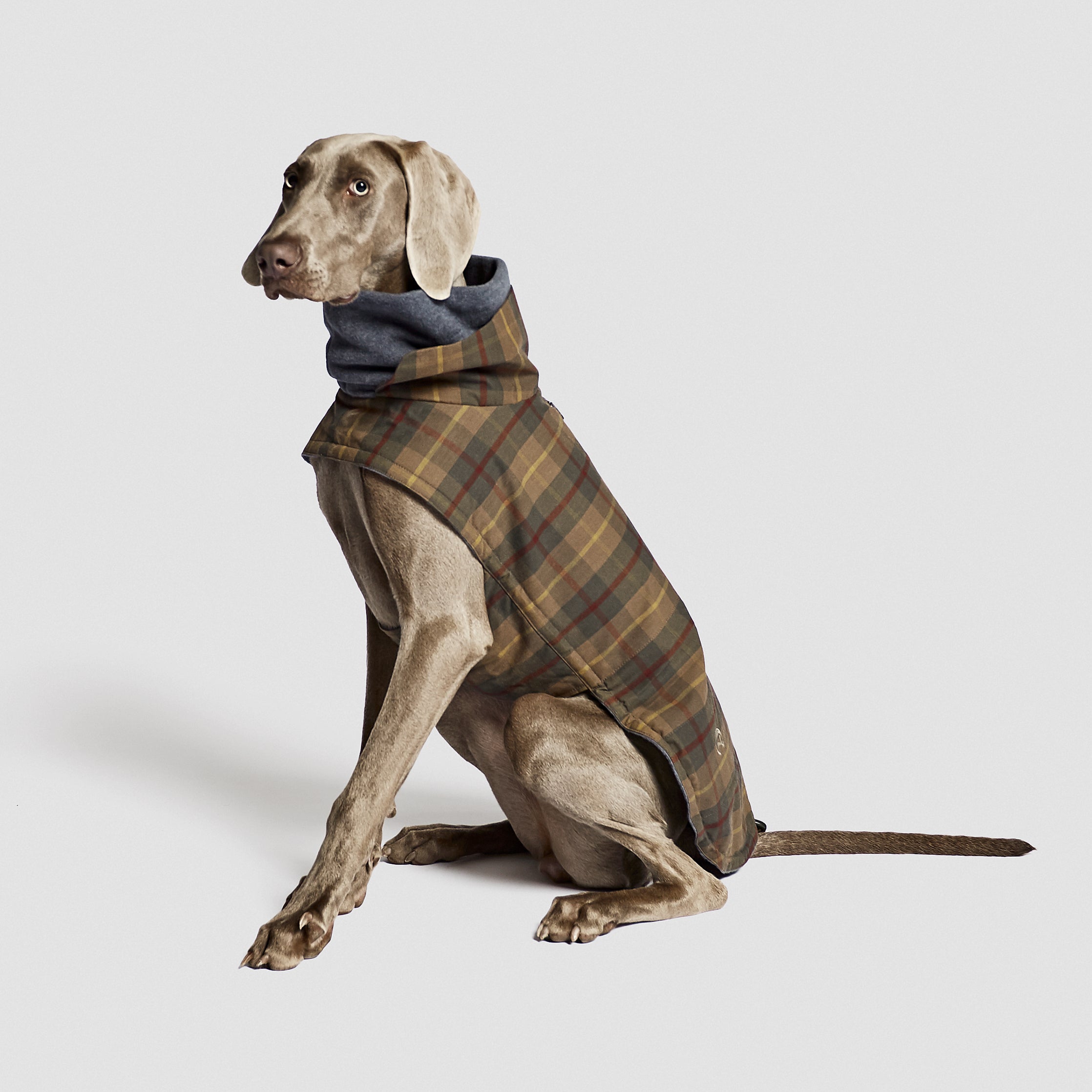 CLOUD7 - Hundemantel Brooklyn