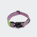 CLOUD7 - Hundehalsband BioThane Ipanema