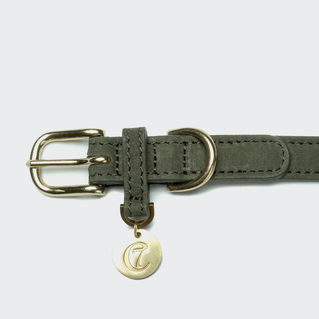 CLOUD7 - Hundehalsband Tiergarten