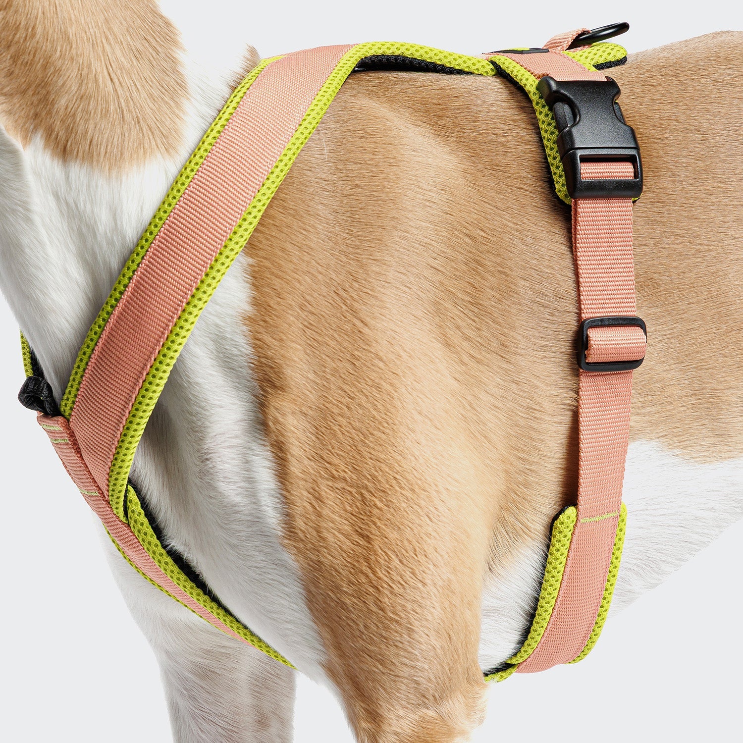 CLOUD7 - Y-1 Geschirr AKTIV Air-Mesh Peach