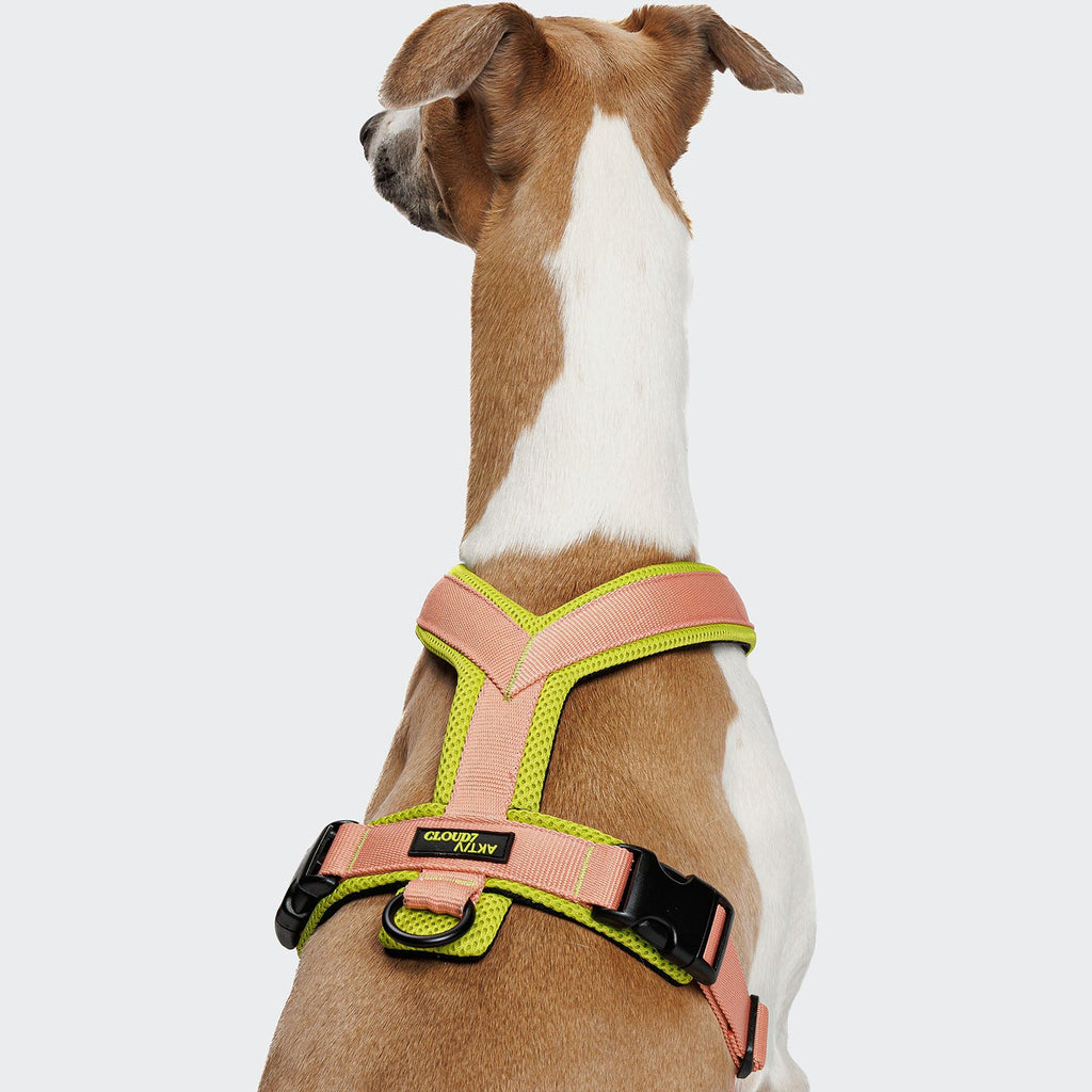 CLOUD7 - Y-1 Geschirr AKTIV Air-Mesh Peach