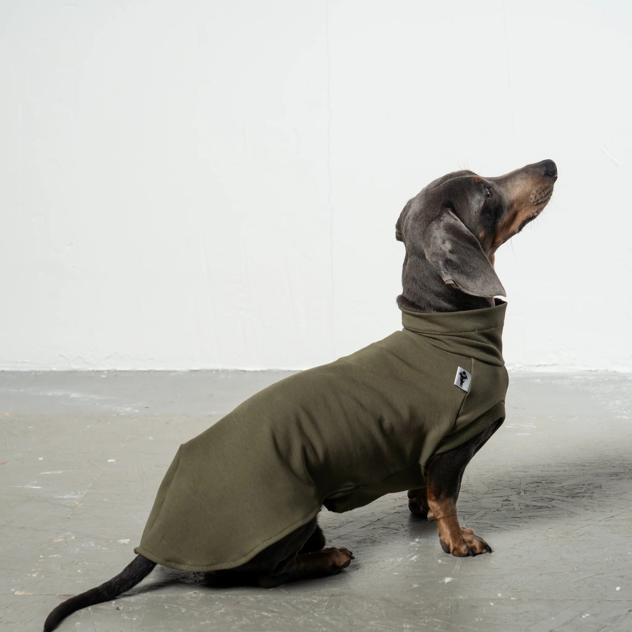 Karma Hund – Cotton Shirt Dackel