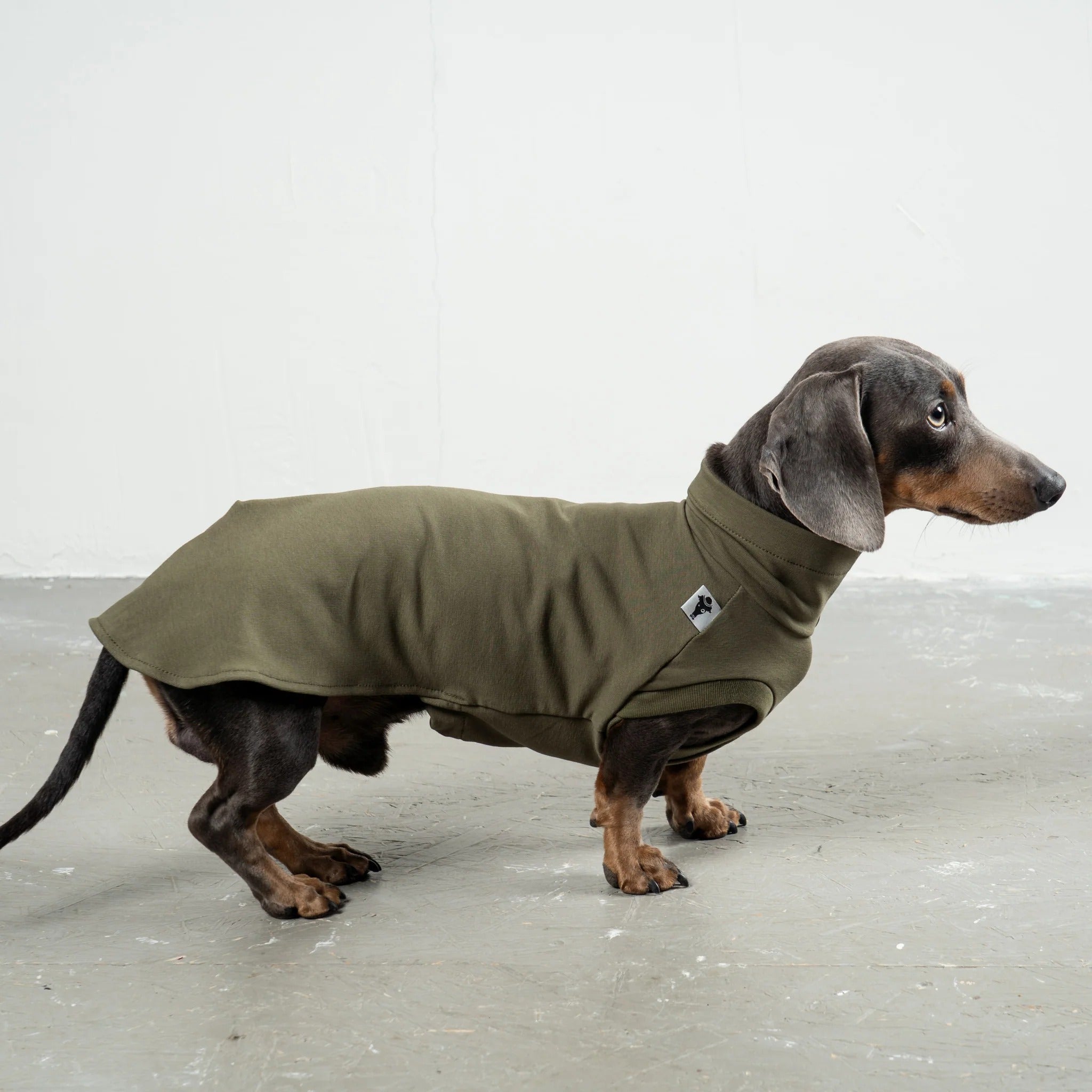 Karma Hund – Cotton Shirt Dackel