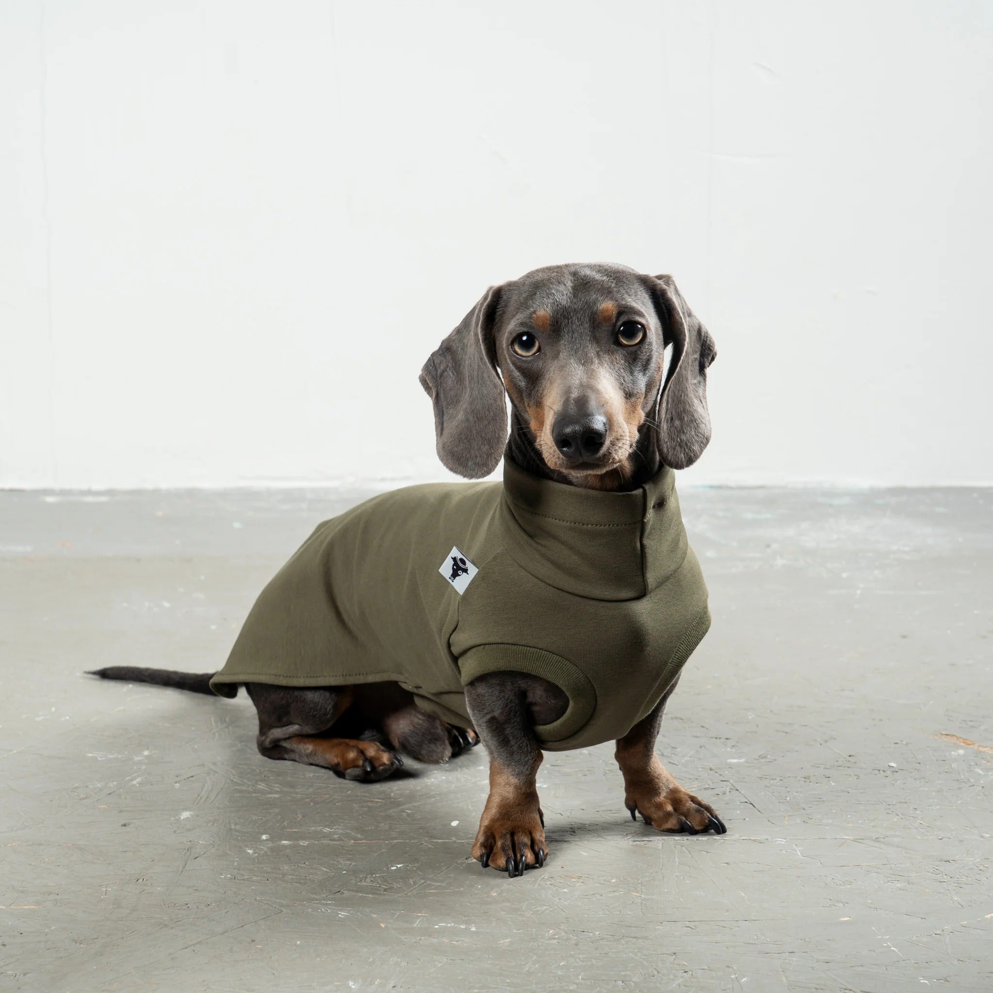 Karma Hund – Cotton Shirt Dackel