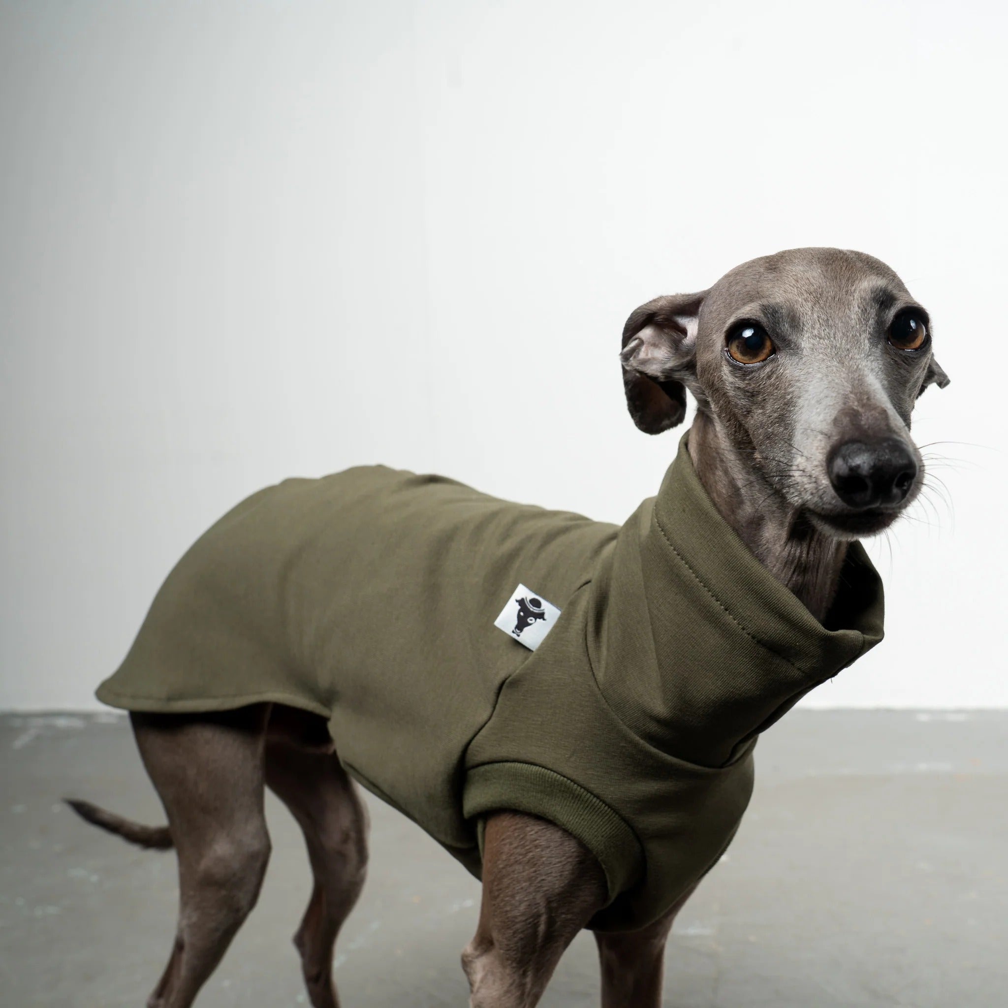 Karma Hund – Cotton Shirt Iggy