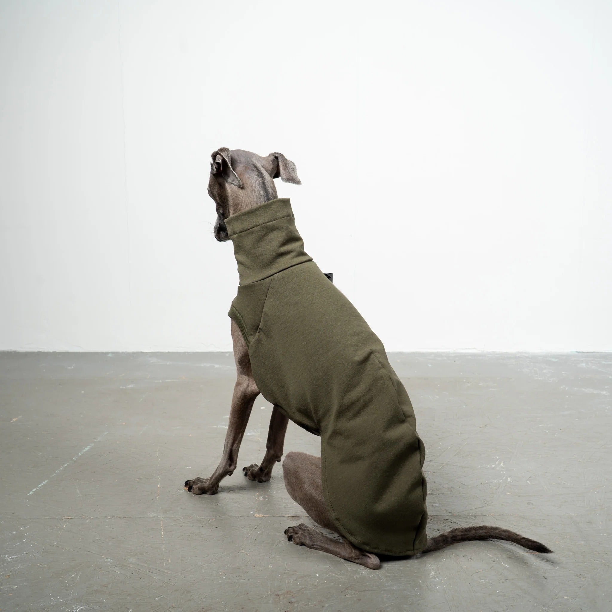 Karma Hund – Cotton Shirt Iggy