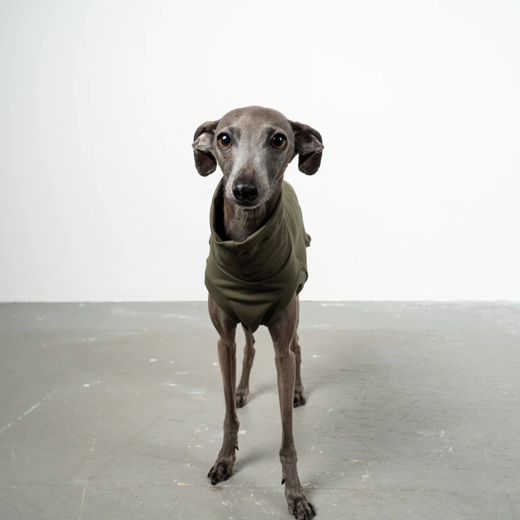 Karma Hund – Cotton Shirt Iggy