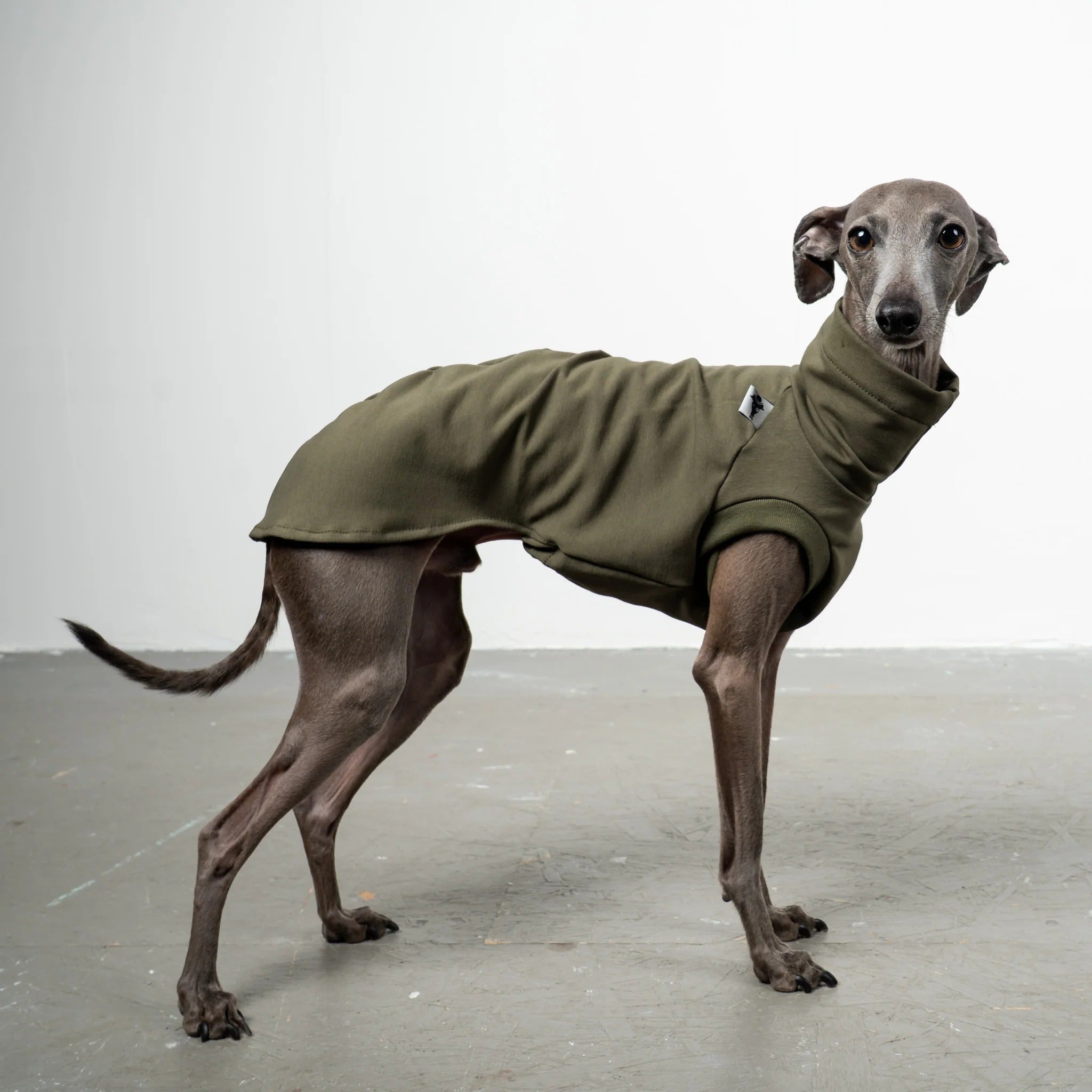 Karma Hund – Cotton Shirt Iggy