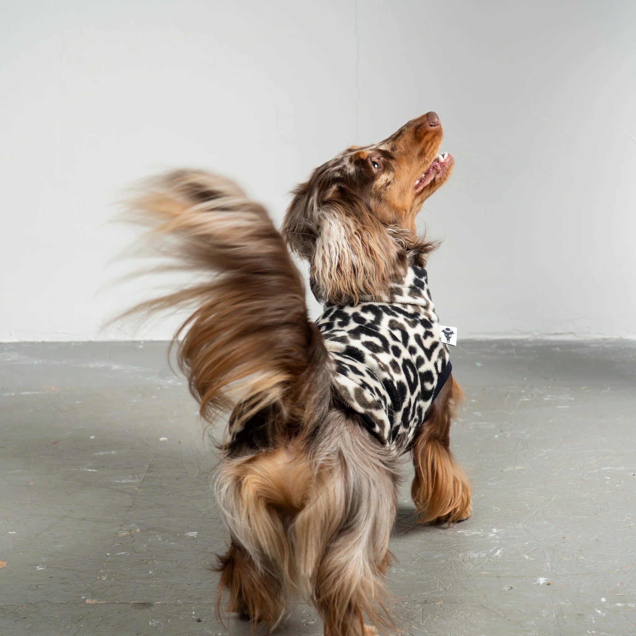Karma Hund – Fleece Shirt Dackel