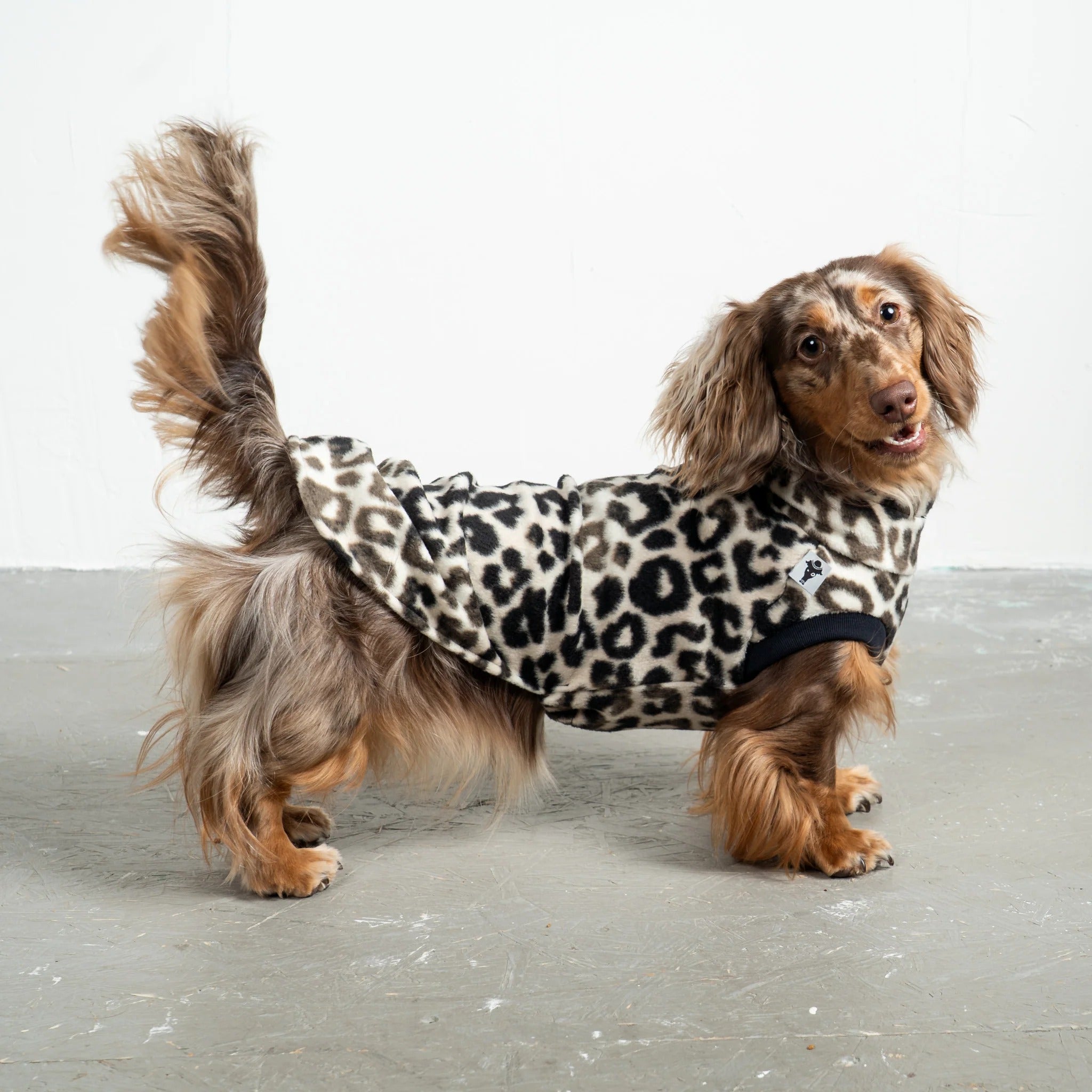 Karma Hund – Fleece Shirt Dackel