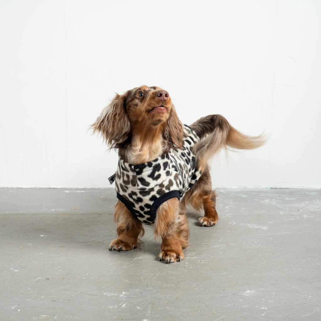 Karma Hund – Fleece Shirt Dackel