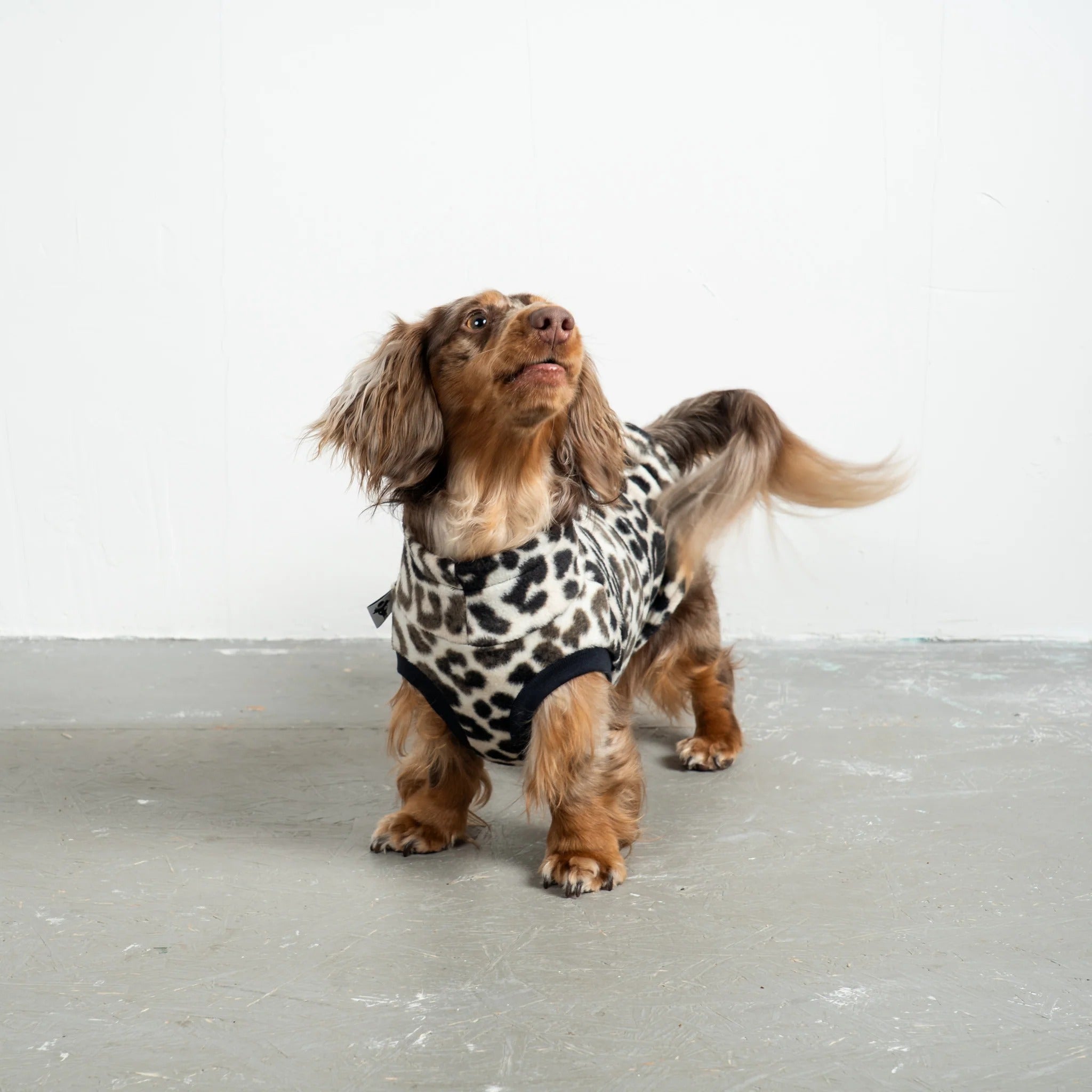 Karma Hund – Fleece Shirt Dackel